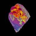 DVH Fluorescent Funkite Polished Face Rough Specimen 80x63x20mm 72g Like Fordite (6640)