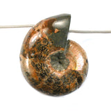 DVH Fossil Iridescent Ammonite Ammolite Focal Bead 49x40x20 (5770)