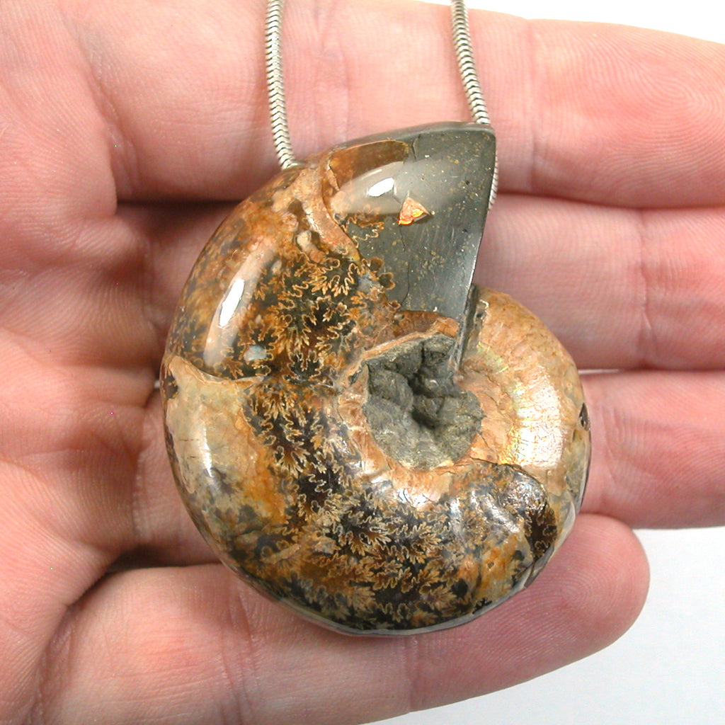 DVH Fossil Iridescent Ammonite Ammolite Focal Bead 49x40x20 (5770)