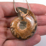 DVH Fossil Iridescent Ammonite Ammolite Focal Bead 49x40x20 (5770)