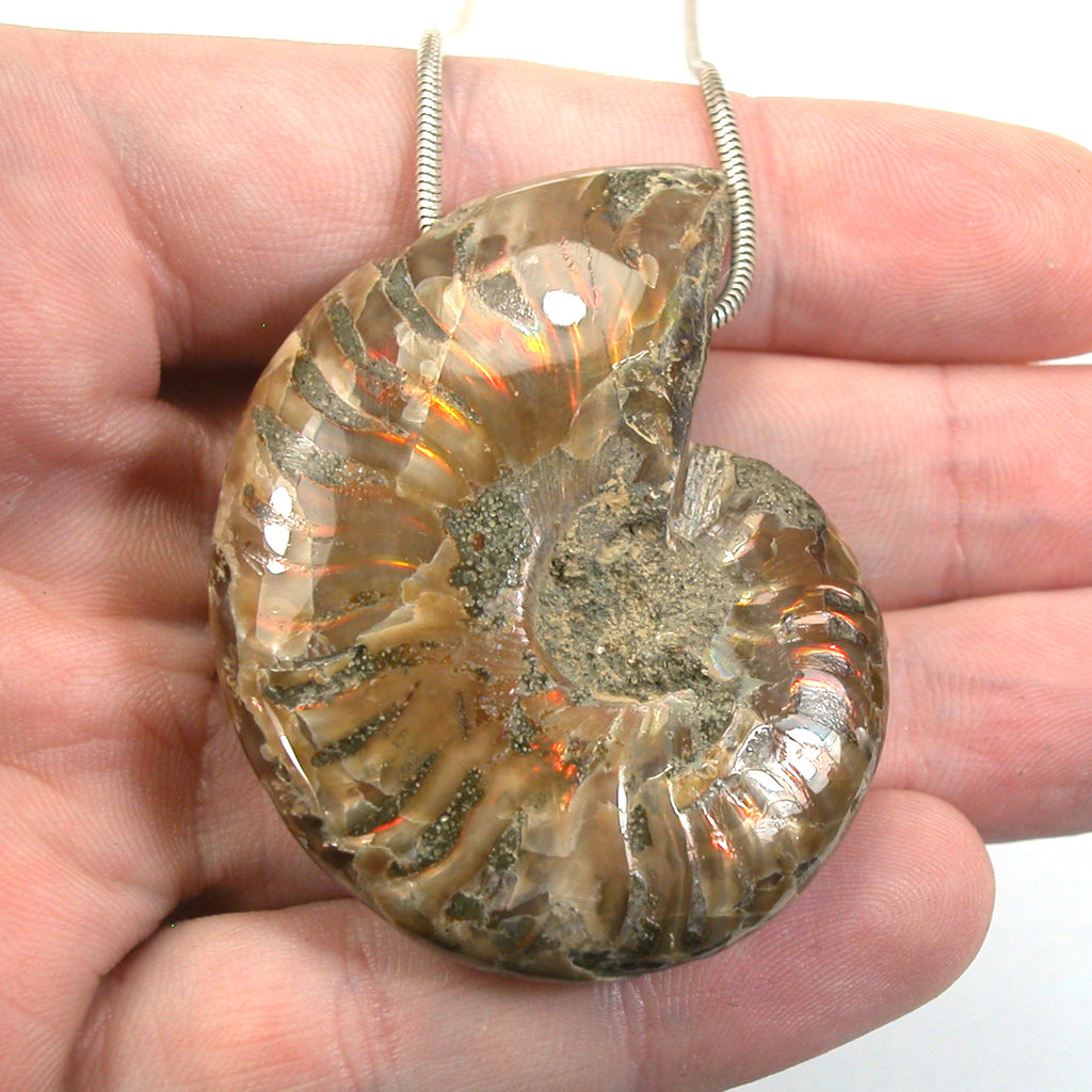 DVH Fossil Iridescent Ammonite Ammolite Focal Bead 54x42x15 (5771)