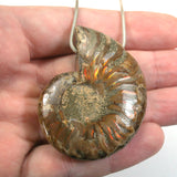 DVH Fossil Iridescent Ammonite Ammolite Focal Bead 54x42x15 (5771)