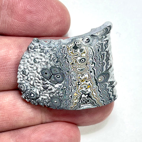 DVH Ford F150 Dragonscale Fordite Specimen Polished Face Rough KC Assembly (5982)