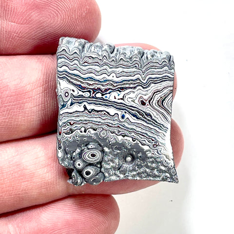 DVH Ford F150 Dragonscale Fordite Specimen Polished Face Rough KC Assembly (5984)