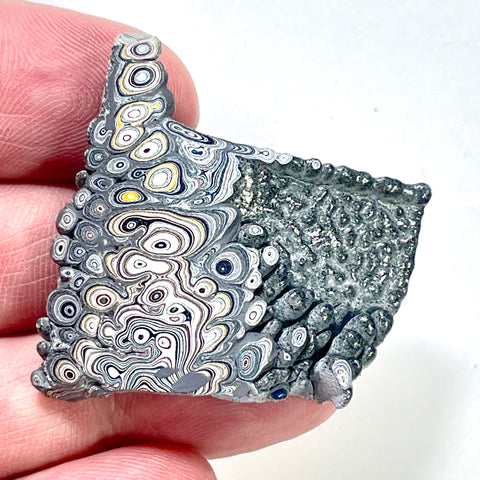 DVH Ford F150 Dragonscale Fordite Specimen Polished Face Rough KC Assembly (5985)