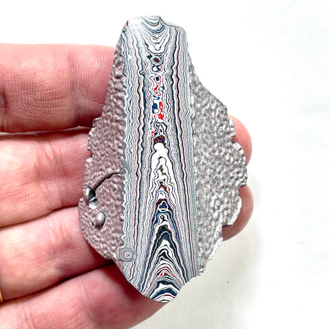 DVH Ford F150 Dragonscale Fordite Specimen Polished Face Rough KC Assembly (5986)