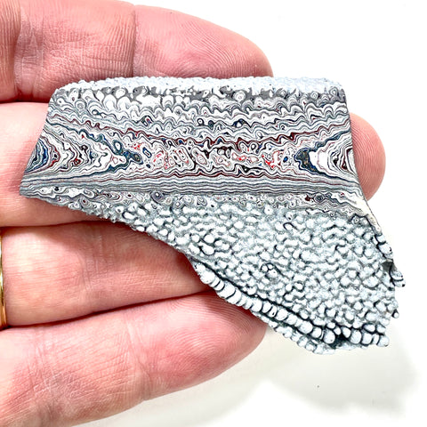 DVH Ford F150 Dragonscale Fordite Specimen Polished Face Rough KC Assembly (5987)