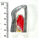 DVH Ford F150 Fordite Specimen Polished Face Rough KC Assembly (5989)