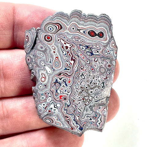 DVH Ford F150 Dragonscale Fordite Specimen Polished Face Rough KC Assembly (5990)