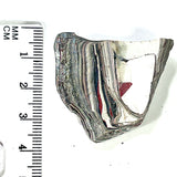 DVH Ford F150 Fordite Specimen Polished Face Rough KC Assembly (5993)