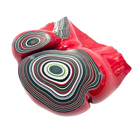 DVH Michigan Fordite Specimen Polished Face Rough Chv Frd Jp  (6150)