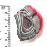 DVH Michigan Fordite Specimen Polished Face Rough Chv Frd Jp  (6150)