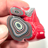 DVH Michigan Fordite Specimen Polished Face Rough Chv Frd Jp  (6150)