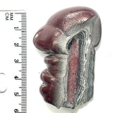 DVH Michigan Fordite Specimen Polished Face Rough Chv Frd Jp  (6151)