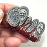 DVH Michigan Fordite Specimen Polished Face Rough Chv Frd Jp  (6151)