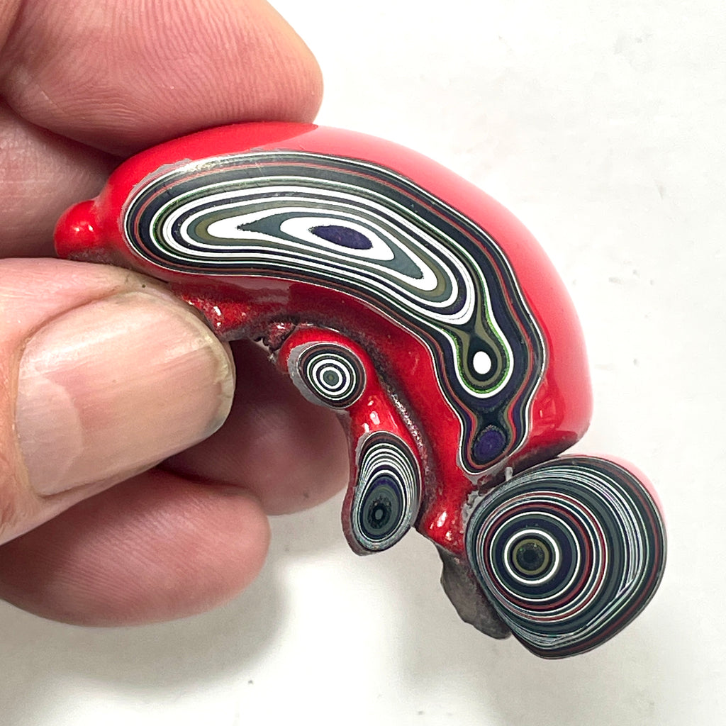 DVH Michigan Fordite Specimen Polished Face Rough Chv Frd Jp  (6152)