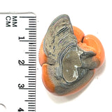 DVH Michigan Fordite Specimen Polished Face Rough Chv Frd Jp  (6153)