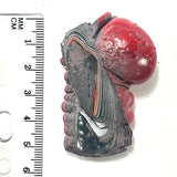 DVH Michigan Fordite Specimen Polished Face Rough Chv Frd Jp  (6155)