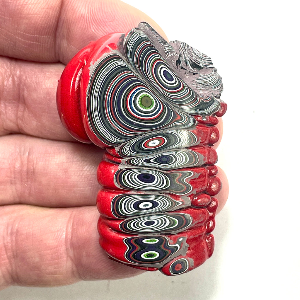 DVH Michigan Fordite Specimen Polished Face Rough Chv Frd Jp  (6155)