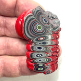 DVH Michigan Fordite Specimen Polished Face Rough Chv Frd Jp  (6155)