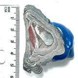 DVH Michigan Fordite Specimen Polished Face Rough Chv Frd Jp  (6157)