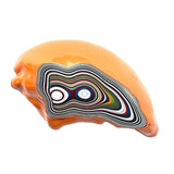 DVH Michigan Fordite Specimen Polished Face Rough Chv Frd Jp  (6160)