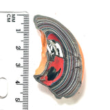 DVH Michigan Fordite Specimen Polished Face Rough Chv Frd Jp  (6160)