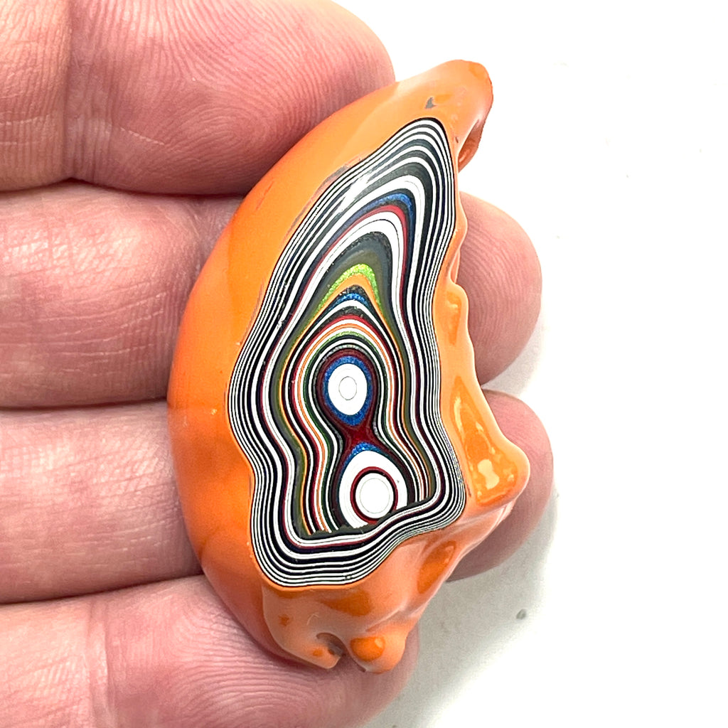 DVH Michigan Fordite Specimen Polished Face Rough Chv Frd Jp  (6160)
