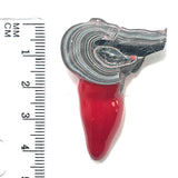 DVH Michigan Fordite Specimen Polished Face Rough Chv Frd Jp  (6161)