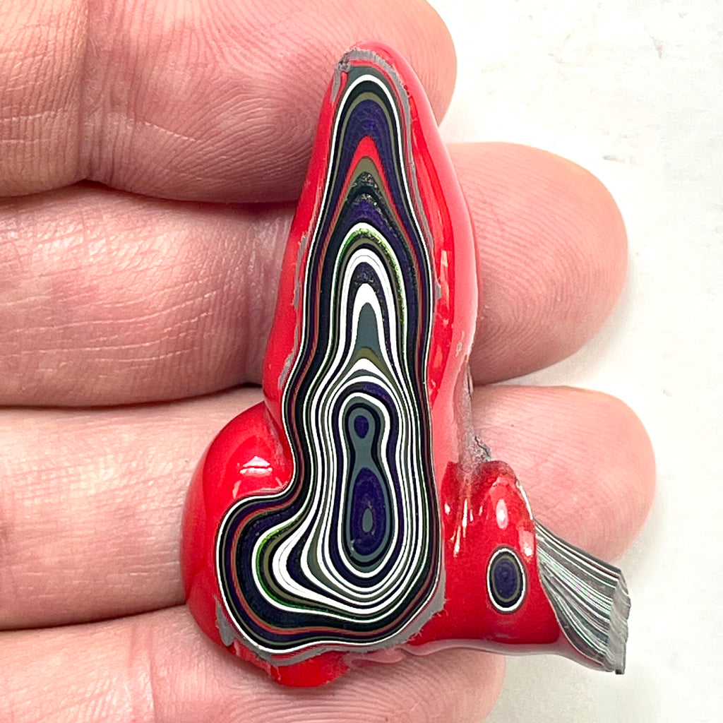 DVH Michigan Fordite Specimen Polished Face Rough Chv Frd Jp  (6161)