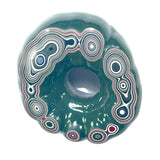 DVH Michigan Fordite Specimen Polished Face Rare Donut Rough Chv Frd Jp (6167)