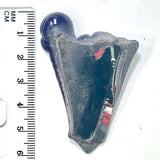 DVH Michigan Purple Fordite Specimen Polished Face Rough Chv Frd Jp (6170)