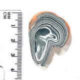 DVH Michigan Orange Fordite Specimen Polished Face Rough Chv Frd Jp (6175)