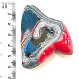DVH Michigan Red Fordite Specimen Polished Face Rough Chv Frd Jp (6177)