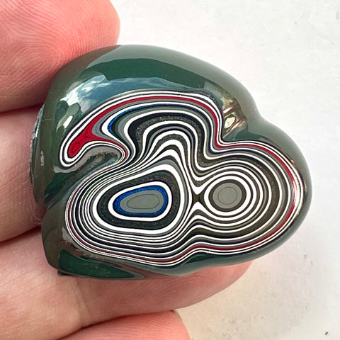 DVH Michigan Fordite Specimen Polished Face Rough Chv Frd Jp (6178)