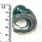 DVH Michigan Fordite Specimen Polished Face Rough Chv Frd Jp (6178)