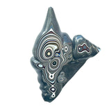 DVH Michigan Fordite Specimen Polished Face Rough Chv Frd Jp (6179)