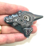 DVH Michigan Fordite Specimen Polished Face Rough Chv Frd Jp (6179)