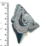 DVH Michigan Fordite Specimen Polished Face Rough Chv Frd Jp (6179)