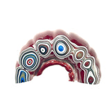 DVH Michigan Fordite Specimen 1/2 Donut Polished Face Rough Chv Frd Jp (6180)