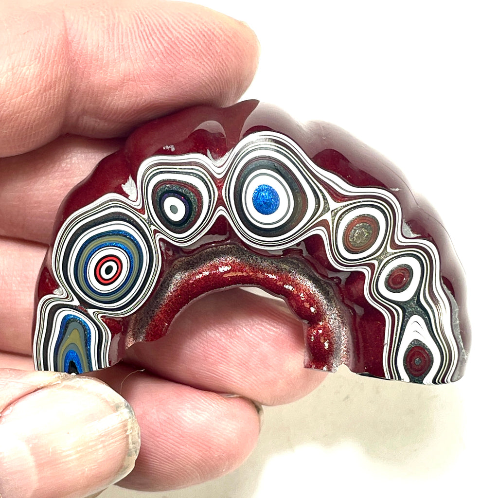 DVH Michigan Fordite Specimen 1/2 Donut Polished Face Rough Chv Frd Jp (6180)