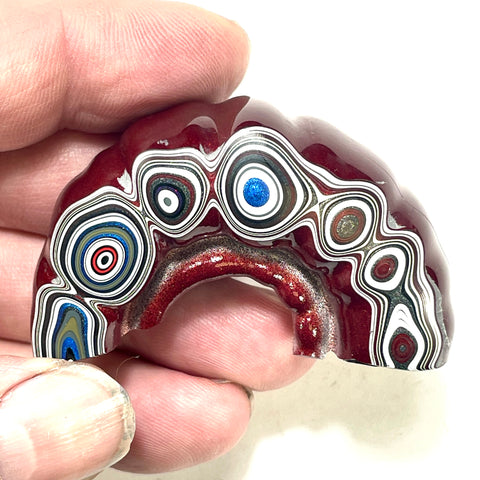 DVH Michigan Fordite Specimen 1/2 Donut Polished Face Rough Chv Frd Jp (6180)