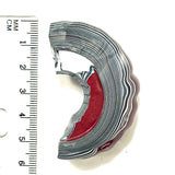 DVH Michigan Fordite Specimen 1/2 Donut Polished Face Rough Chv Frd Jp (6180)