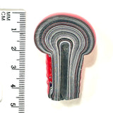 DVH Michigan Fordite red Mushroom Specimen Polished Face Chv Frd Jp (6181)