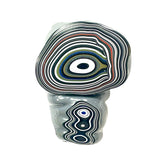 DVH Michigan Fordite Specimen Polished Face Eye Chv Frd Jp (6182)