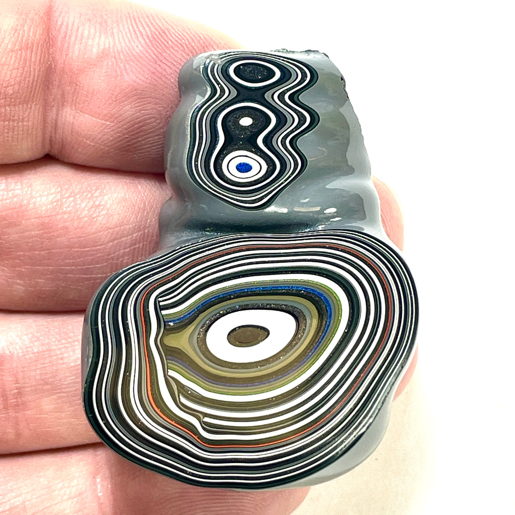 DVH Michigan Fordite Specimen Polished Face Eye Chv Frd Jp (6182)