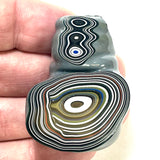 DVH Michigan Fordite Specimen Polished Face Eye Chv Frd Jp (6182)