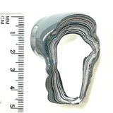 DVH Michigan Fordite Specimen Polished Face Eye Chv Frd Jp (6182)