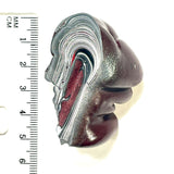 DVH Michigan Fordite Specimen Polished Face Rough Chv Frd Jp (6185)