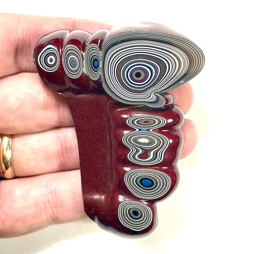 DVH Michigan Fordite Specimen Polished Face Rough Chv Frd Jp (6186)